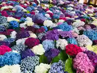 太宰府天満宮の手水舎