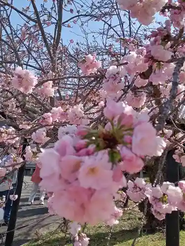醍醐寺(京都府)