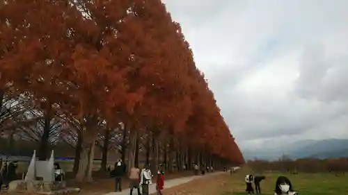 長谷寺(滋賀県)