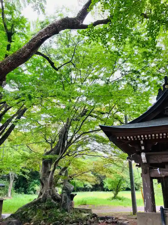 金村別雷神社(茨城県)