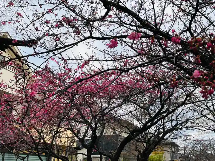 長円寺(京都府)