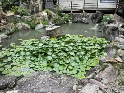 本光寺(愛知県)