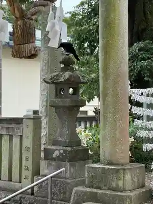 大甕神社(茨城県)