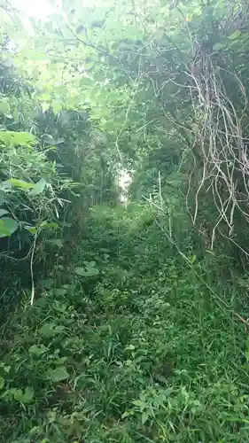 白山神社の周辺