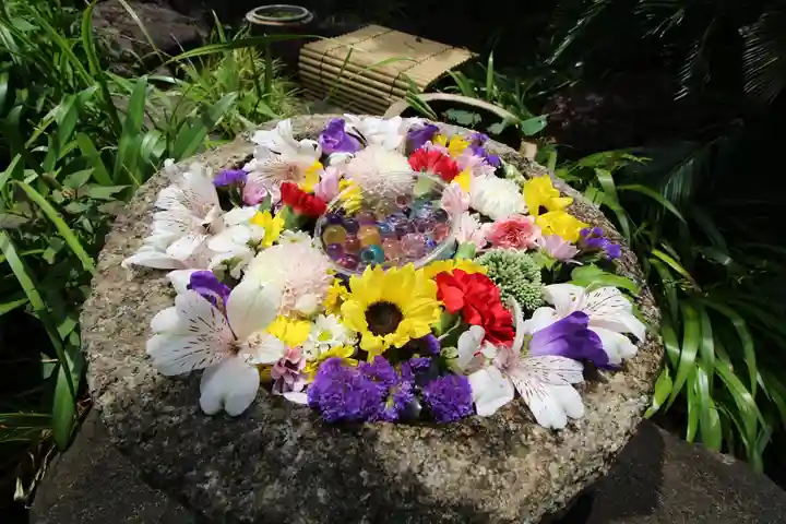 安養院(東京都)