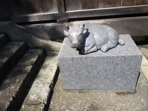 赤羽八幡神社の狛犬