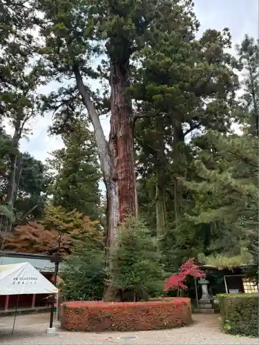 香取神宮(千葉県)