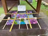 土津神社|こどもと出世の神さま(福島県)