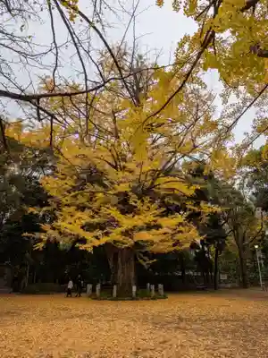 赤坂氷川神社(東京都)
