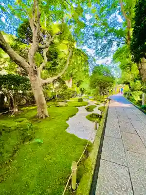 報国寺(神奈川県)