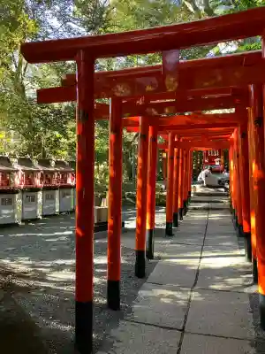來宮神社(静岡県)