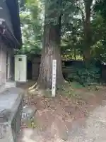 嵯峨天一神社(徳島県)