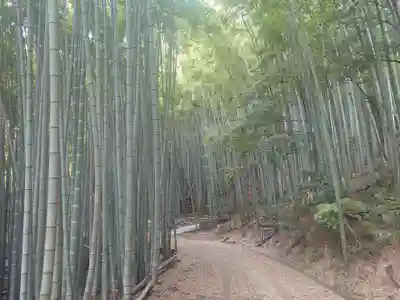 西方寺(愛知県)