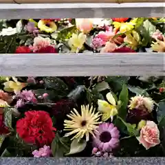 豊景神社の手水