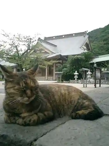 光明寺の動物