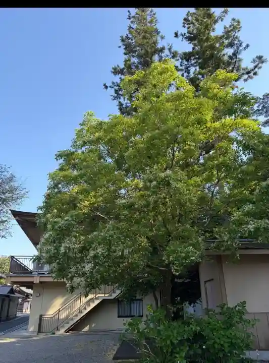 高麗神社(埼玉県)