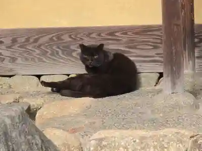 宗林寺(大阪府)