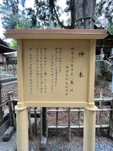 三峯神社(埼玉県)