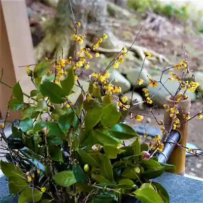 高司神社〜むすびの神の鎮まる社〜(福島県)