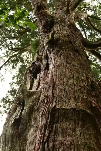 八幡宮(富山県)