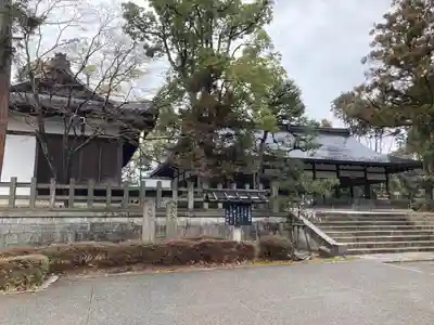 吉田神社のその他建物