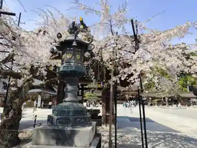 多賀大社(滋賀県)