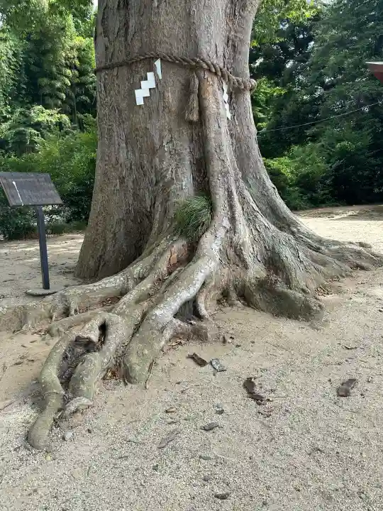 素鵞神社(茨城県)