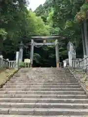 戸隠神社宝光社の鳥居