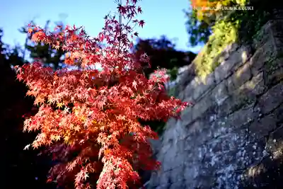 建長寺(神奈川県)