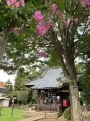 尉殿神社の本殿