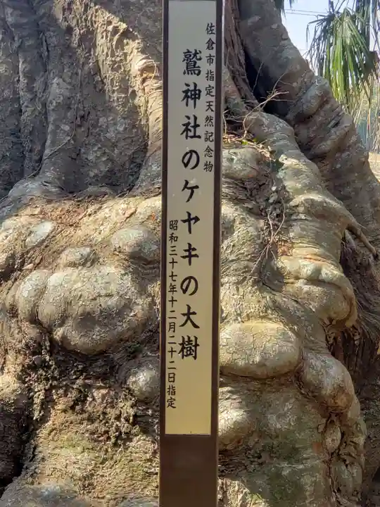 鷲神社(先崎鷲神社)(千葉県)