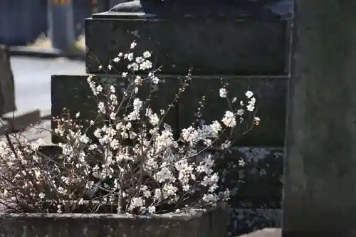 熊野福藏神社の手水