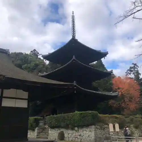 園城寺（三井寺）(滋賀県)