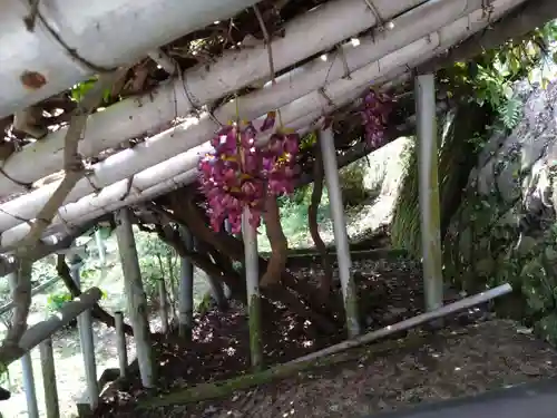 相良寺(熊本県)
