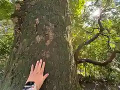 月讀宮（皇大神宮別宮）(三重県)