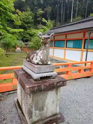大原野神社の狛犬