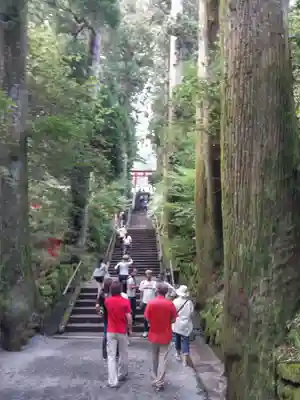 箱根神社(神奈川県)