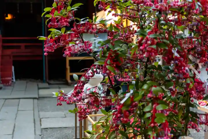 赤坂氷川神社(東京都)