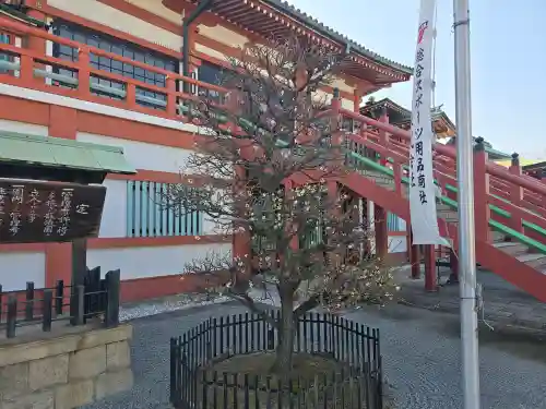 妙国寺(大阪府)