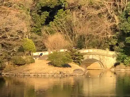 明治神宮(東京都)