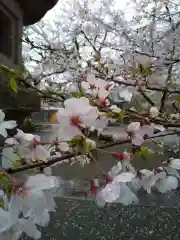 篠座神社の自然