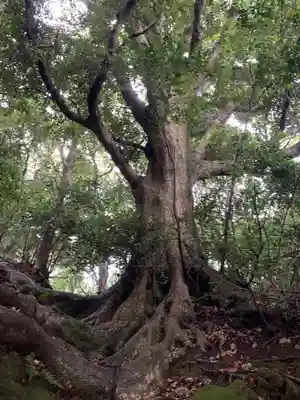 神社（名称不明）の自然