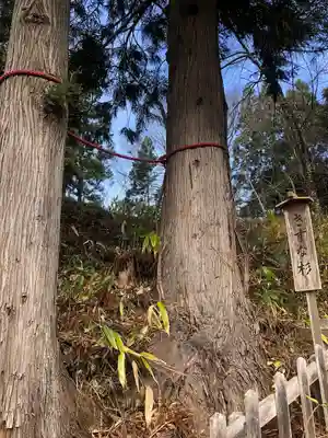 金田一温泉薬師神社の自然