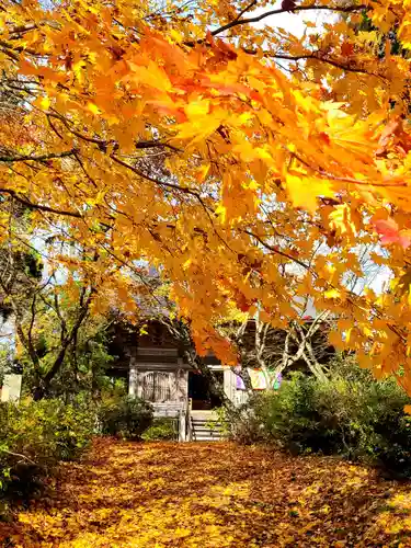 如法寺（鳥追観音）の自然
