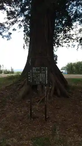 那須神社(栃木県)