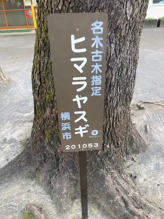 お三の宮日枝神社のその他建物