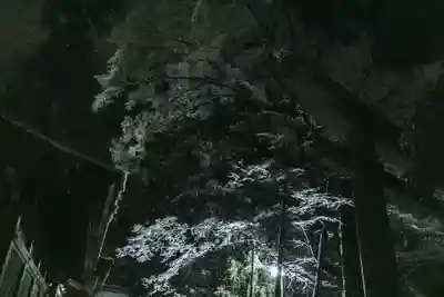 白山比咩神社のその他建物