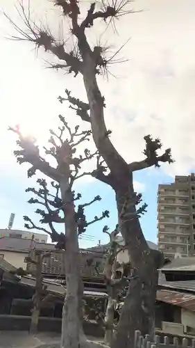 大将軍八大龍王(大阪府)