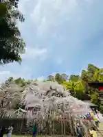 小川諏訪神社の自然