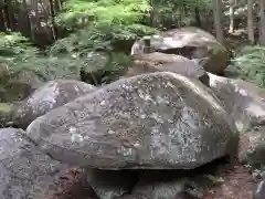 名草厳島神社の自然